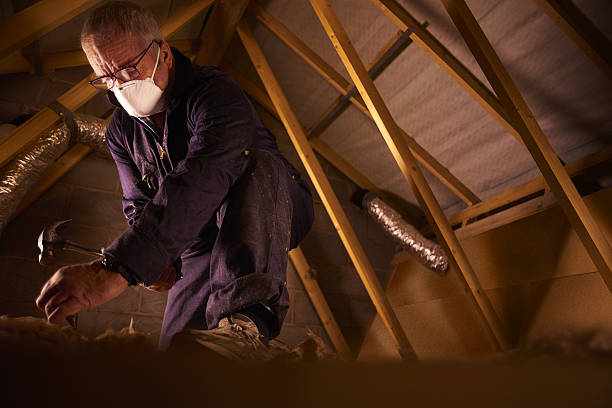 Professional Insulation Contractor in Auburn, KY